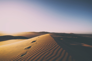 Desert Sand Dunes 5K756069869 300x200 - Desert Sand Dunes 5K - Sand, Mountains, Dunes, Desert